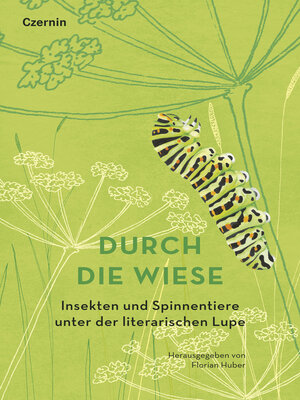 cover image of Durch die Wiese